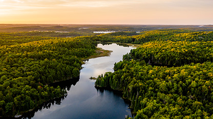 kohtaus metsän läpi virtaavasta joesta