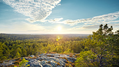 panoramautsikt over naturen